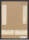 Diatomeae indet. Zeichnungen Sammlung Grunow Nr. 3277 (NHMW-BOT-W0370756)